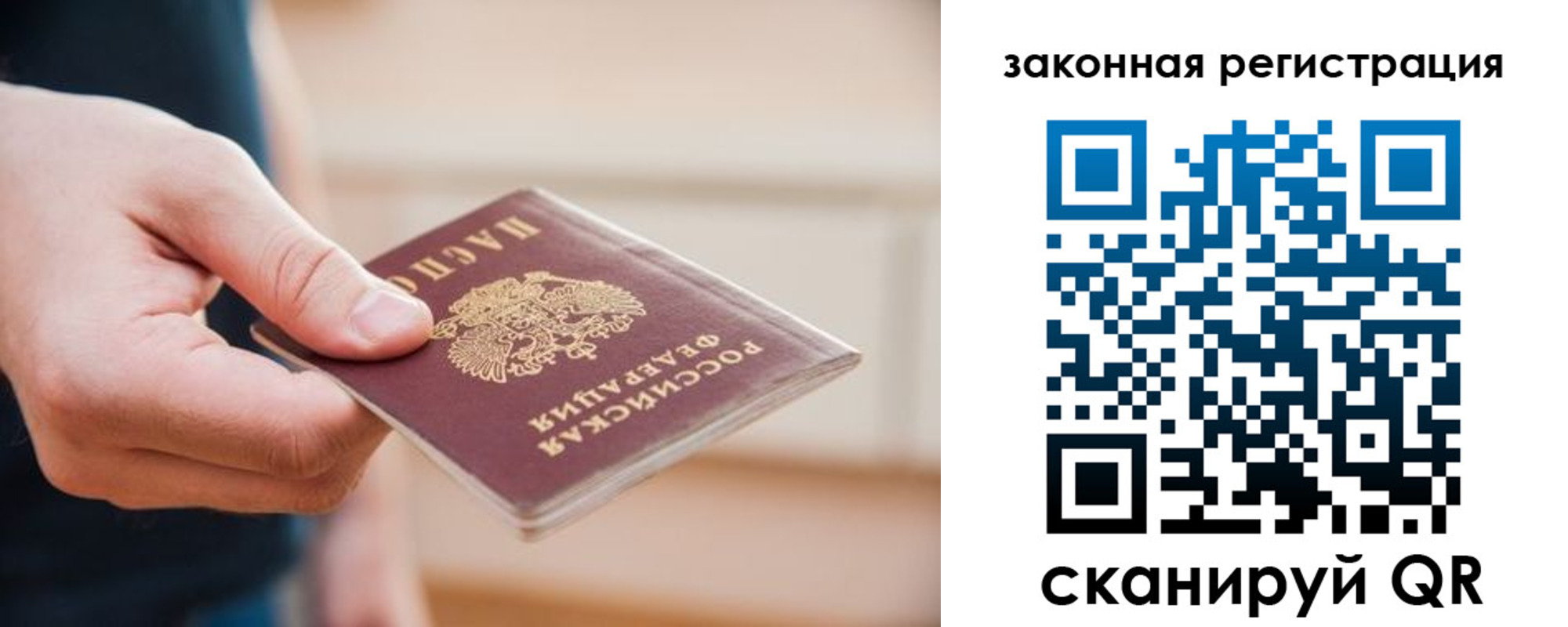 прописка в Борзе